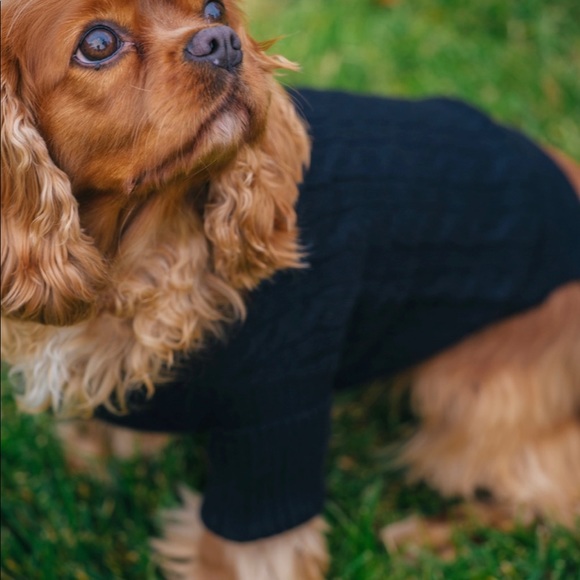 White + Warren luxe cashmere black dog sweater